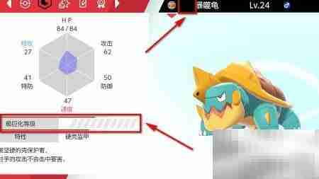 剑盾超极巨化方法揭秘