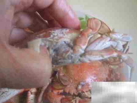 河蟹食用安全判断方法