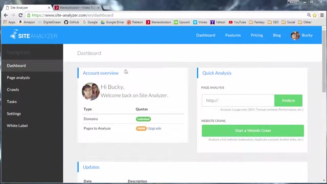 SiteAnalyzer：SEO优化技巧与排名提升方法