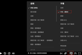 Netflix设置中文教程详解