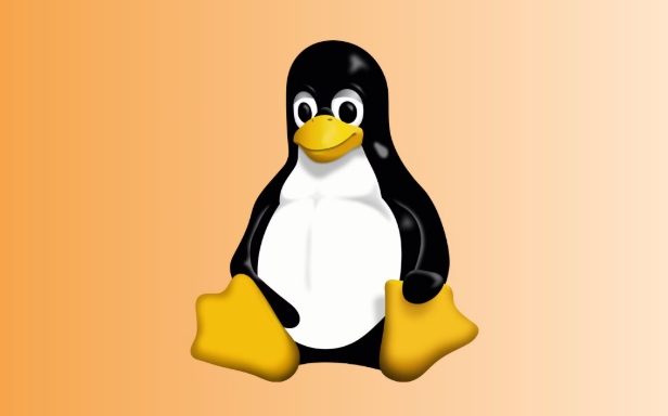 LinuxSwap分区详解与优化方法