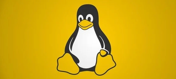 LINUX用screen保持SSH会话不断教程
