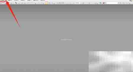 PDF Viewer开启标尺显示方法