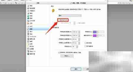 PDF Viewer开启标尺显示方法
