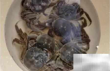 河蟹怎么煮最鲜美？
