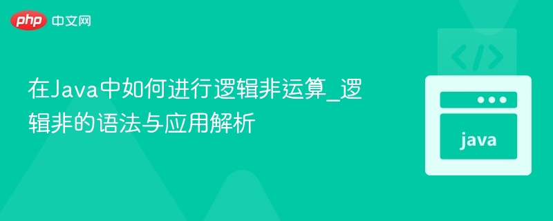 Java逻辑非运算符详解与实战应用