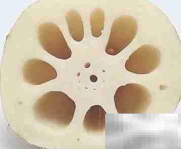 莲藕家常菜，健康又美味