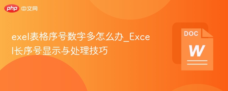 Excel长序号显示与处理方法