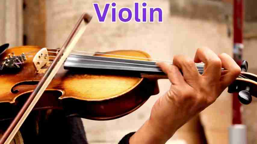 探索音乐的奥秘:100种乐器及其声音的奇妙世界