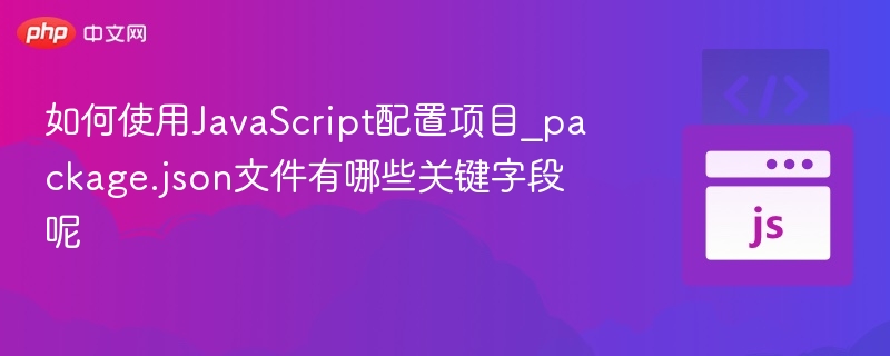 package.json核心字段详解与使用方法