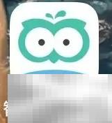 智学网教师打卡任务设置方法