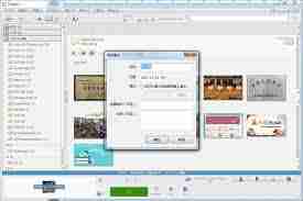 picasa如何设置自动检测网络设置