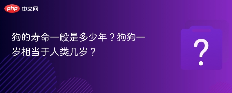 狗狗年龄换算与寿命解析全攻略
