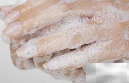 一招轻松消灭蟑螂技巧