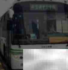 上海公交之最盘点