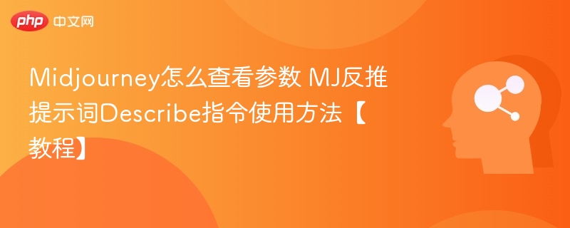 Midjourney参数查看与提示词反推教程