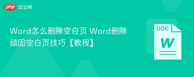 Word怎么删除空白页 Word删除顽固空白页技巧【教程】