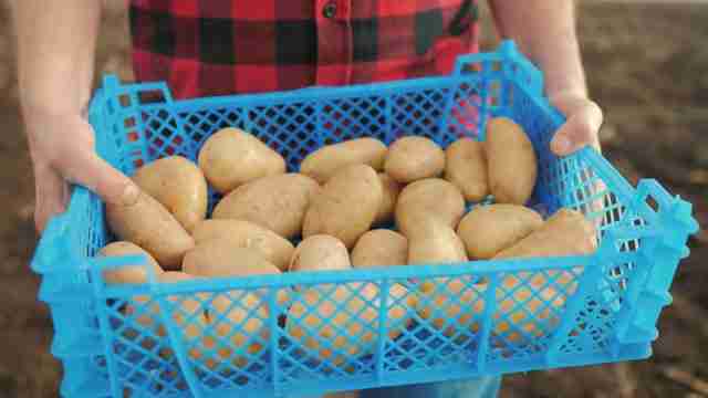 轻松入门：如何创建自己的图像识别模型