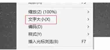 ie11怎么改变字号-ie11改变字号的方法