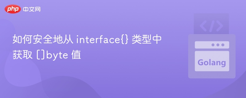 interface{}转[]byte安全方法