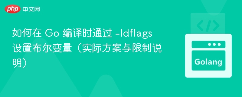 Go编译中如何用-ldflags设置布尔变量
