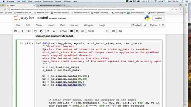 使用Python和神经网络进行图像识别：完整指南