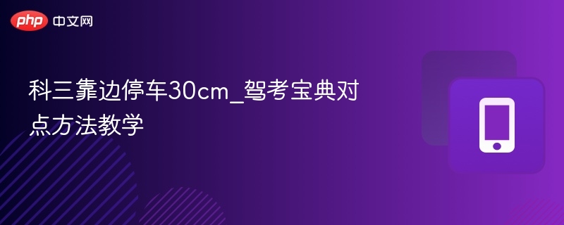 科三靠边停车30cm对点方法详解
