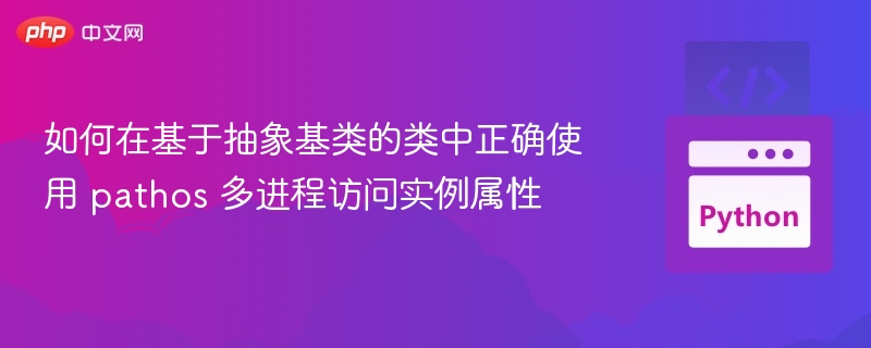 pathos多进程访问基类属性注意事项