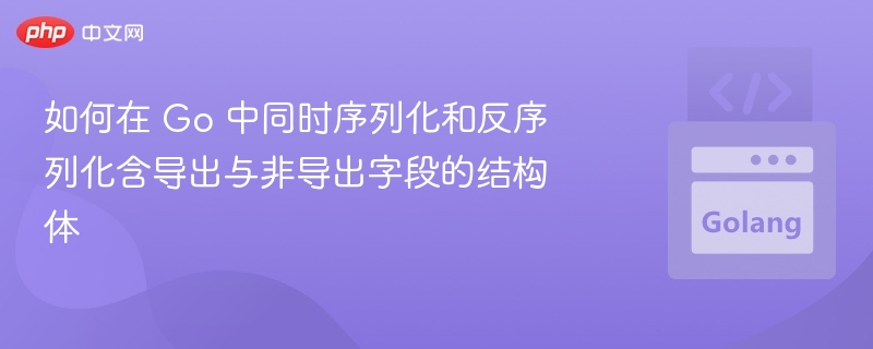 如何在 Go 中同时序列化和反序列化含导出与非导出字段的结构体
