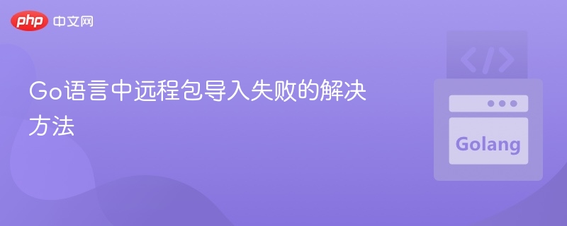 Go语言远程包导入失败解决方法