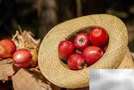 水果店利润揭秘:一文看懂