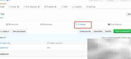 GitHub查看标签方法