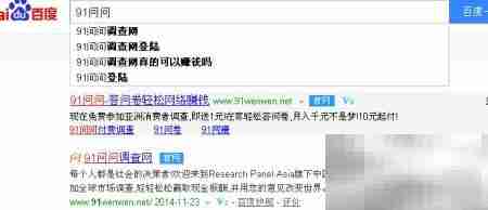 网上赚钱电脑调查