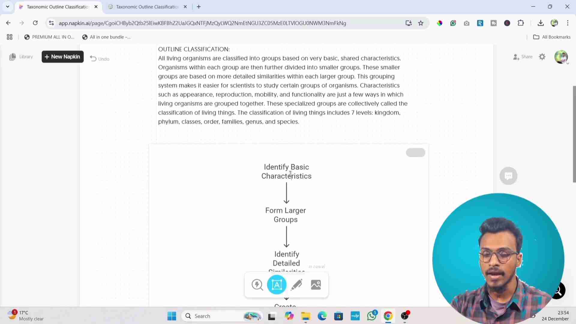 Napkin AI：AI驱动的文本可视化工具，轻松创建思维导图