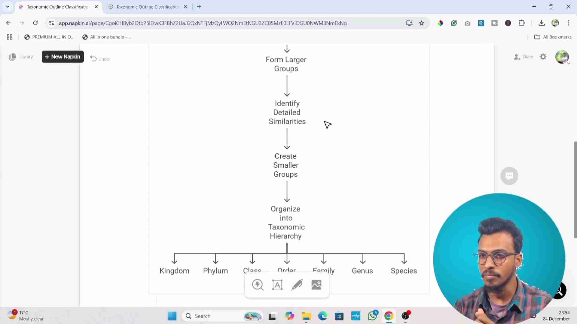 Napkin AI：AI驱动的文本可视化工具，轻松创建思维导图