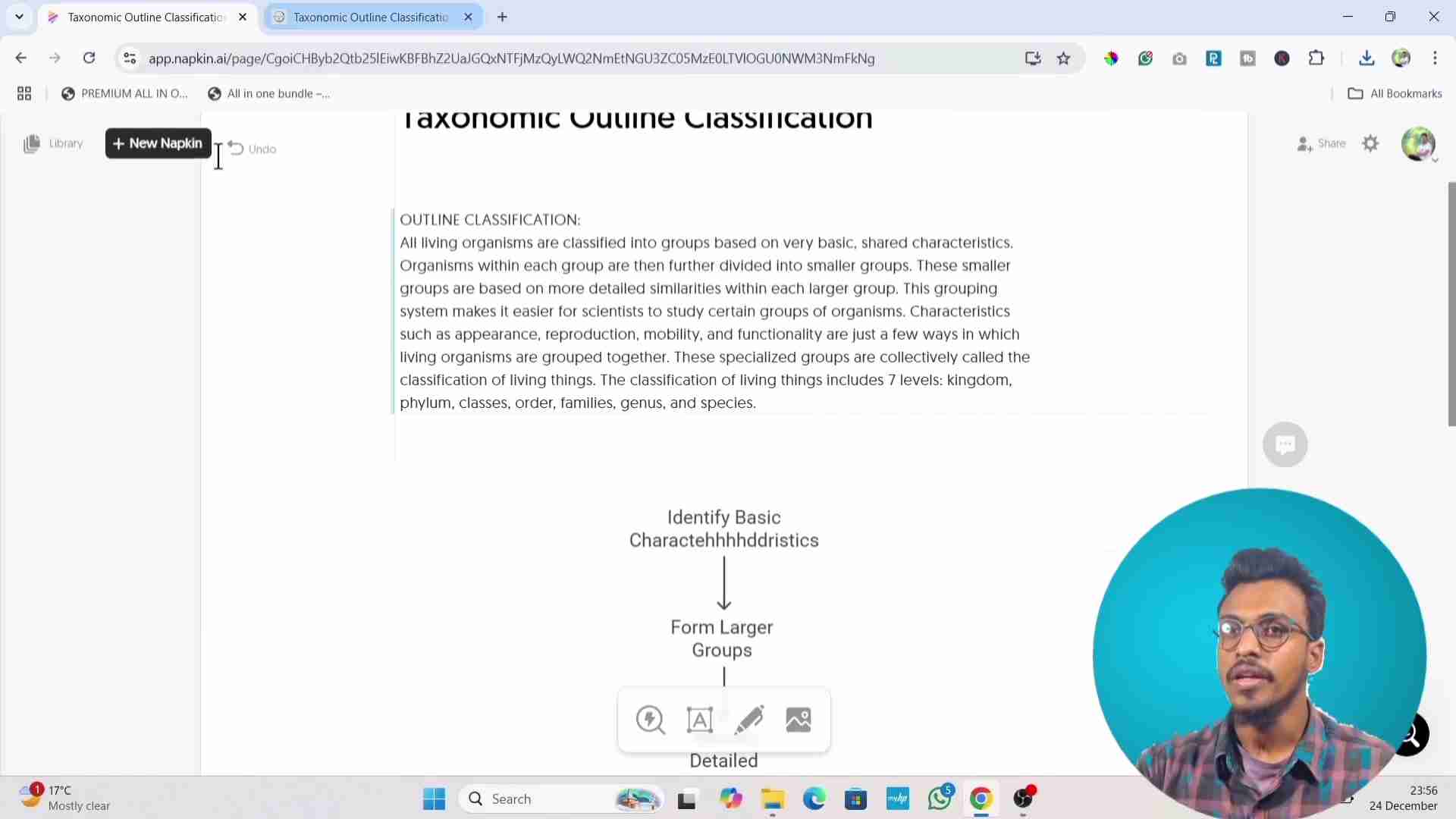 Napkin AI：AI驱动的文本可视化工具，轻松创建思维导图