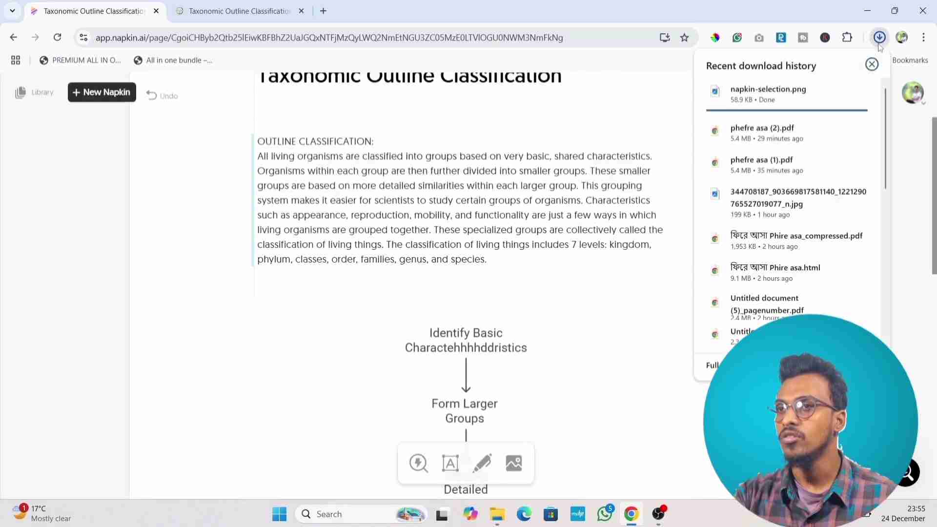 Napkin AI：AI驱动的文本可视化工具，轻松创建思维导图