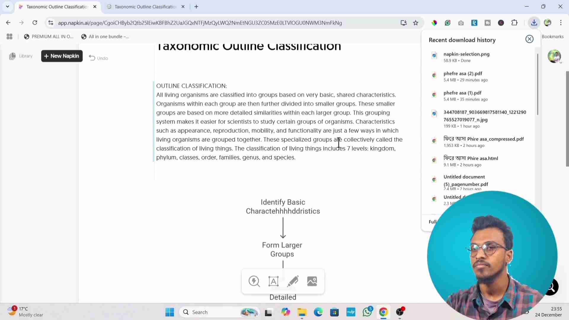 Napkin AI：AI驱动的文本可视化工具，轻松创建思维导图