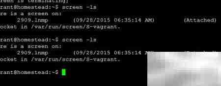 Screen快速入门：SSH会话管理