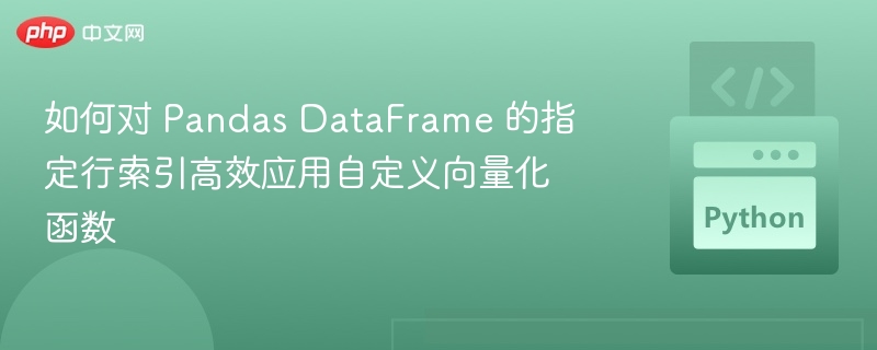 如何对 Pandas DataFrame 的指定行索引高效应用自定义向量化函数
