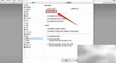 PDF Viewer气泡提示设置