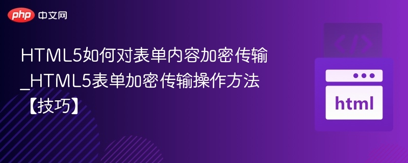 HTML5表单加密传输技巧解析