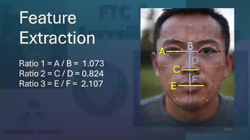 面部识别破解与隐私保护指南