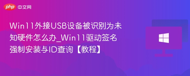 Win11外接设备无法识别解决方法
