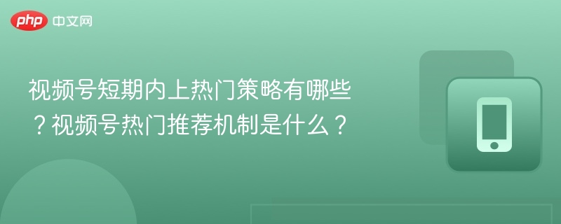 视频号上热门技巧与推荐机制详解
