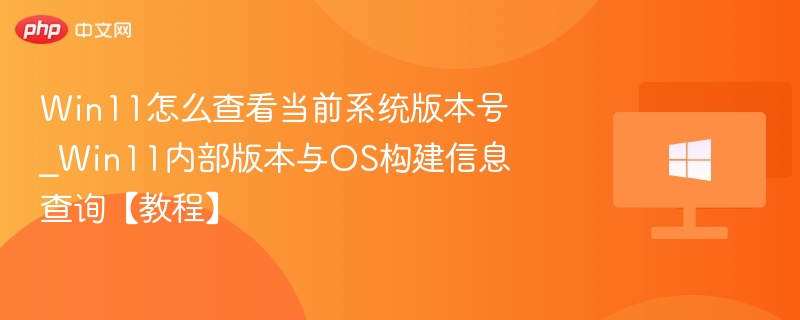 Win11版本号查看与构建信息查询方法