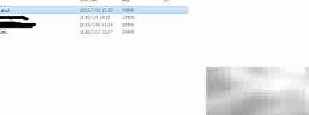 SVN标签打包实战指南