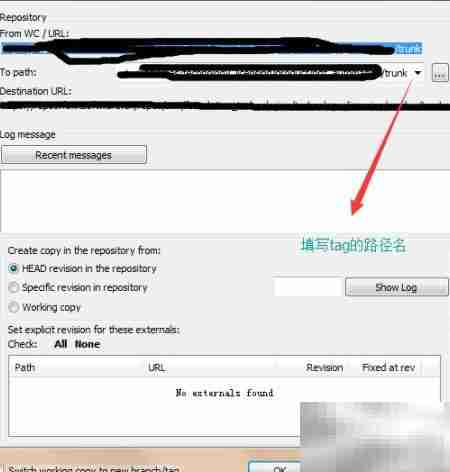 SVN标签打包实战指南