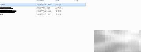 SVN标签打包操作指南与技巧