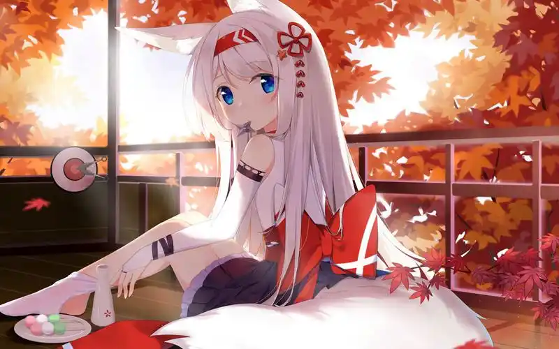 皮皮喵漫画网络错误怎么解决